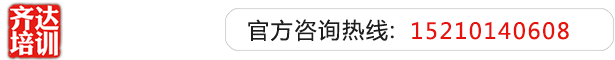 骚逼被爆艹齐达艺考文化课-艺术生文化课,艺术类文化课,艺考生文化课logo